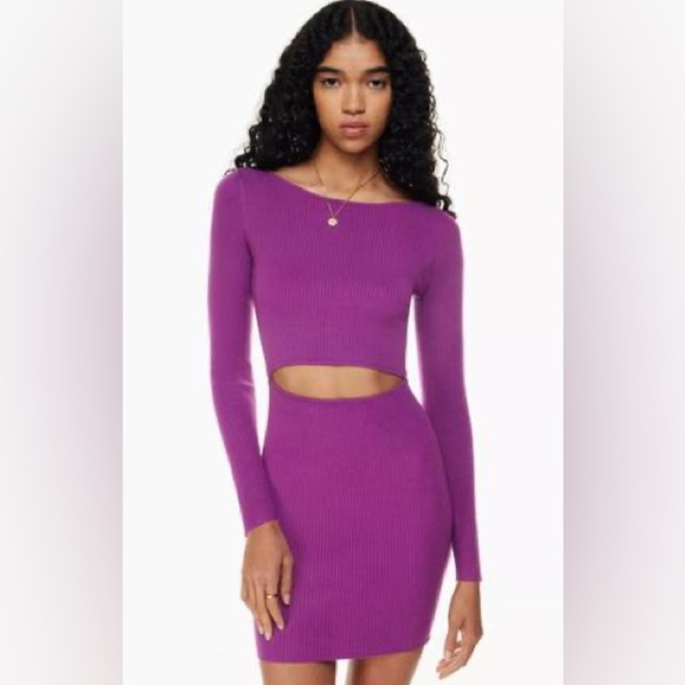 Aritzia Wilfred  mini dress